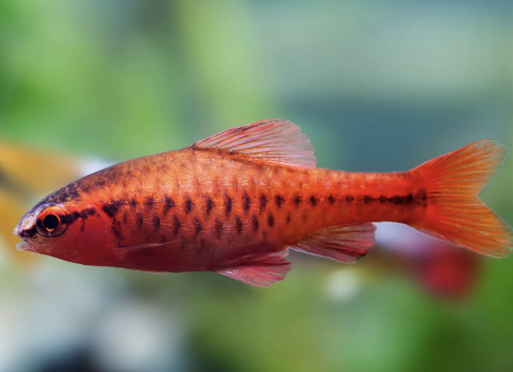 Screenshot 2025-08-27 at 10.21.51 a.m..png