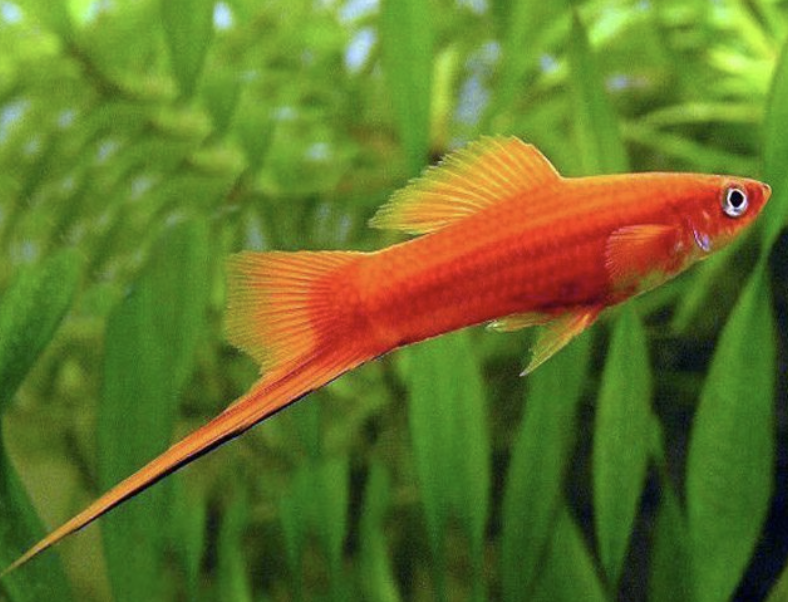 Screenshot 2025-08-27 at 10.21.08 a.m..png