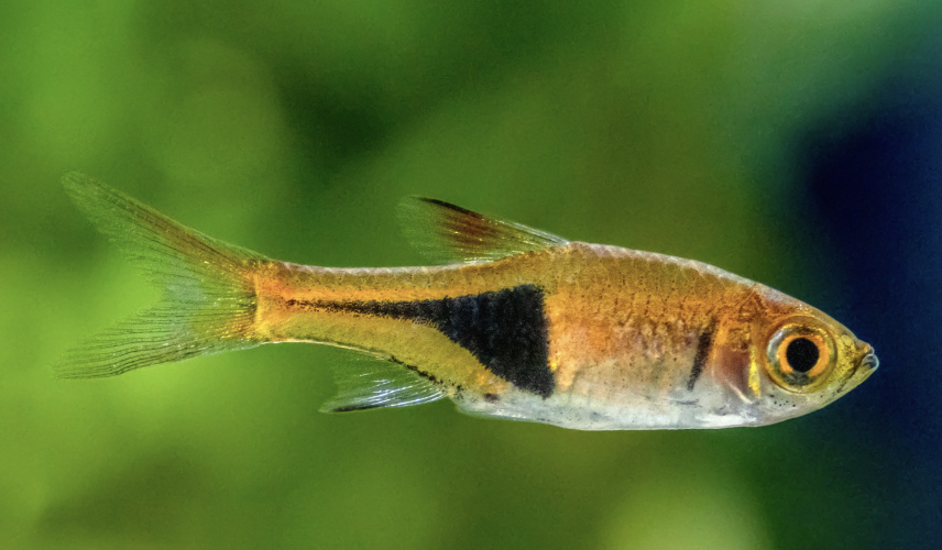 Screenshot 2025-08-27 at 10.21.30 a.m..png